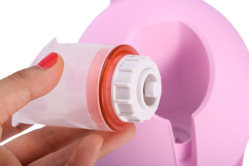 家用美容儀市場 營銷神話與行業(yè)規(guī)范的雙重挑戰(zhàn)